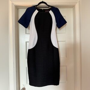 Focus by Shani Color block Dress